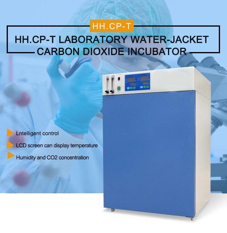 Co2 Incubator For Medical Lab 80L view 3